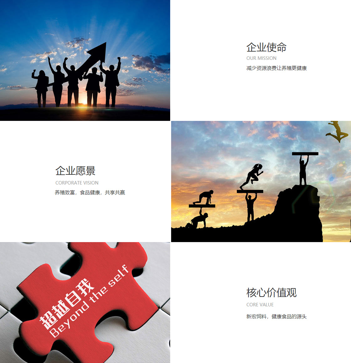 亿万先生app(图1)